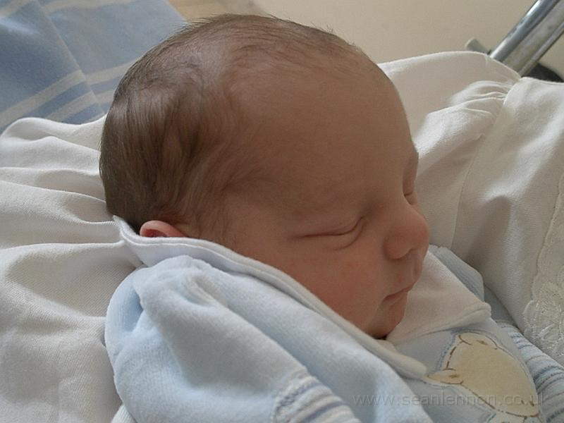 Loris Lennon (16-12-09) 006.jpg - OLYMPUS DIGITAL CAMERA         